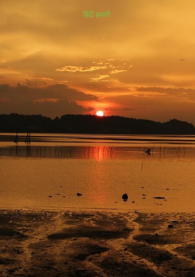 हिंदी हमारी