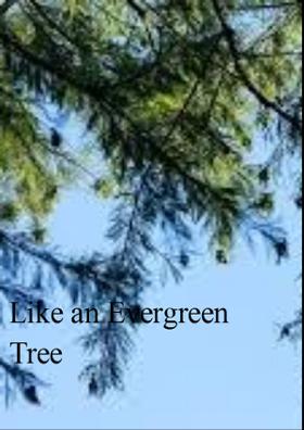 Like An Evergreen Tree
