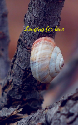 Longing For Love