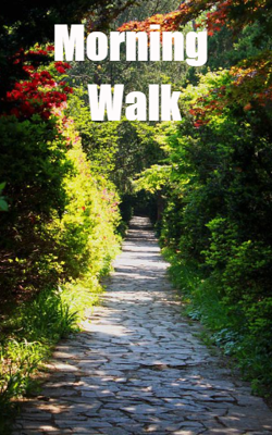 Morning walk