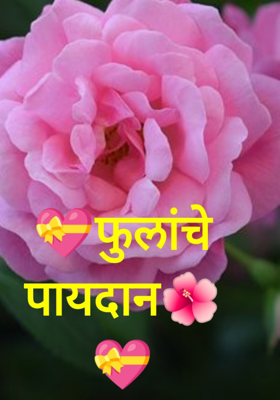 फुलांचे पायदान