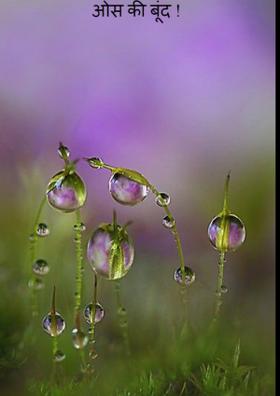 ओस की बूंद !