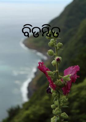 ବିଡମ୍ବିତ