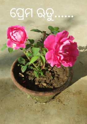 ପ୍ରେମ ଋତୁ