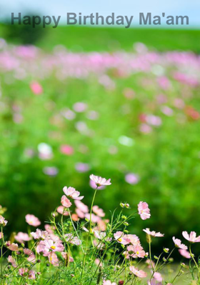 Happy Birthday Ma'am