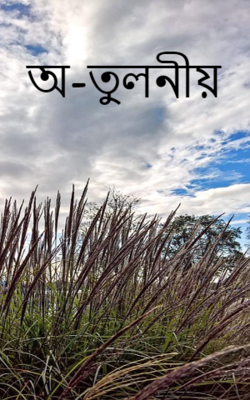অ-তুলনীয়