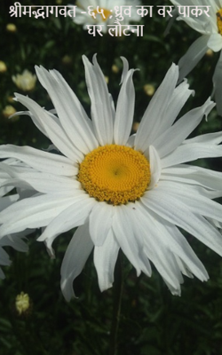 श्रीमद्भागवत -६५ ;ध्रुव का वर पाकर घर लौटना