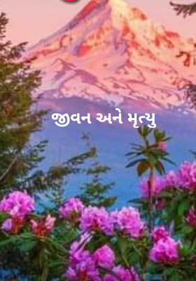 જીવન અને મૃત્યુ