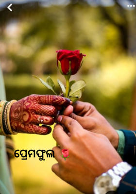 ପ୍ରେମଫୁଲ 🌹