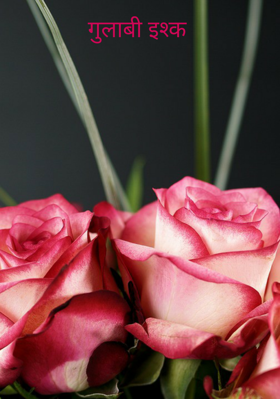 गुलाबी इश्क