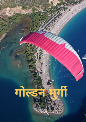 गोल्डन मुर्गी