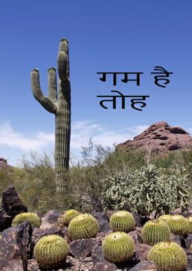 गम है तोह