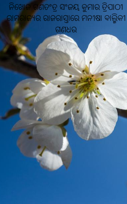 ନିଖୋଜ ଗଣତନ୍ତ୍ର