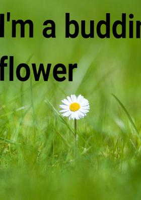 I'm A Budding Flower