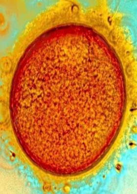 प्रश्न ( सहाक्षरी )