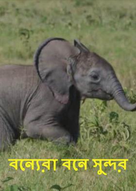 বন্যেরা বনে সুন্দর
