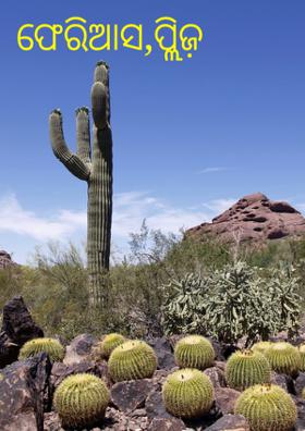 ଫେରିଆସ ପ୍ଲିଜ଼