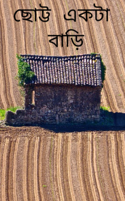 ছোট্ট একটা বাড়ি