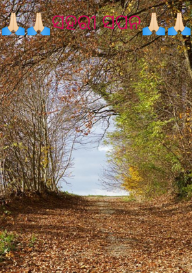 ସହରୀ ସପନ