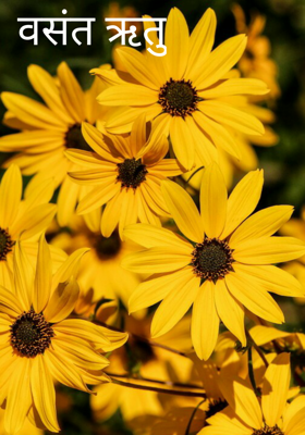 वसंत ऋतु