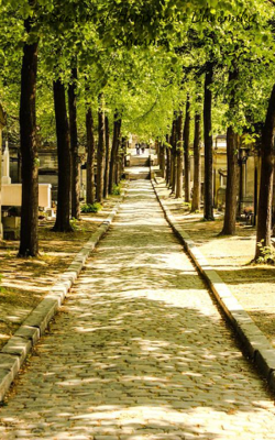 In Search of Happiness-Bhoomika Sharma