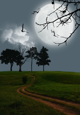 आधुनिक युग की शिक्षाव्यवस्था