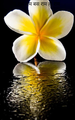 राम राम बस राम ही राम