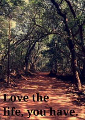 Love The Life You Have