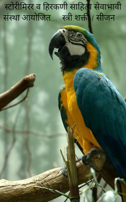 स्त्री शक्ती