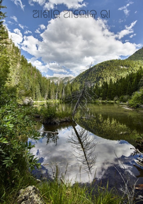 ଆଶାର ଆଲୋକ