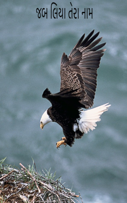 જબ લિયા તેરા નામ