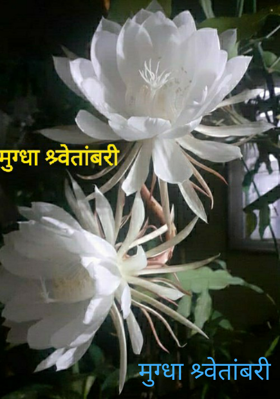 मुग्धा श्र्वेतांबरी