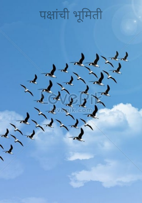 पक्षांची भूमिती