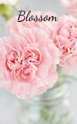 Blossom