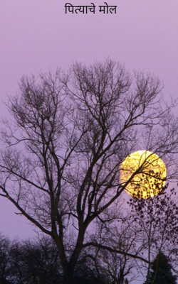 पित्याचे मोल