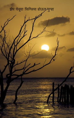 झेप घेवूया फिनिक्स होऊन पुन्हा