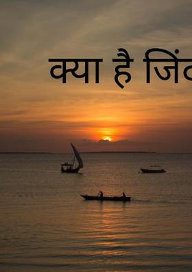 क्या है जिंदगी