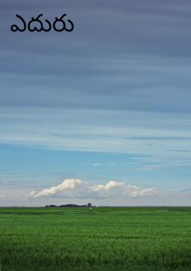 ఎదురు చూపులు