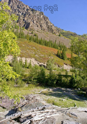 ଶେଷ ନିଷ୍ପତ୍ତି