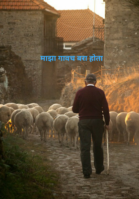 माझा गावच बरा होता