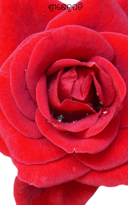 ଶ୍ରୀକ୍ଷେତ୍ରପତି