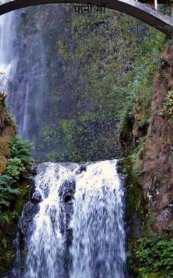 पानी माँ