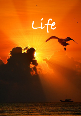 Life