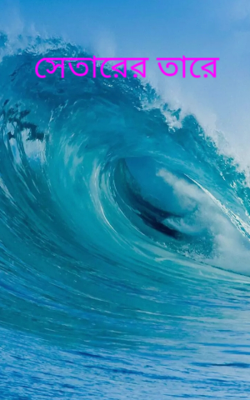 সেতারের তারে