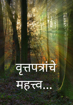 वृत्तपत्रांचे महत्त्व...