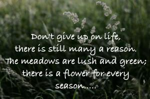 Don't give up on life,
there is still many a reason.
The meadows are lush and green;
there is a flower for every season.....