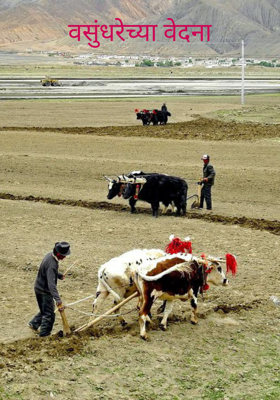 वसुंधरेच्या वेदना