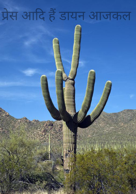 प्रेस आदि हैं डायन आजकल