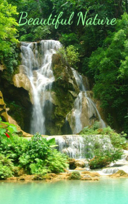 Beautiful Nature