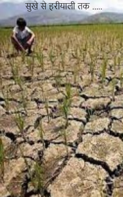 सूखे से हरीयाली तक .....